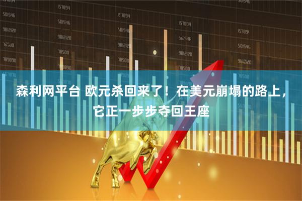 森利网平台 欧元杀回来了！在美元崩塌的路上，它正一步步夺回王座