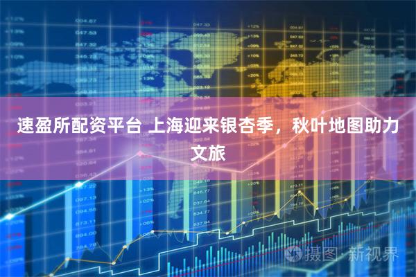 速盈所配资平台 上海迎来银杏季，秋叶地图助力文旅